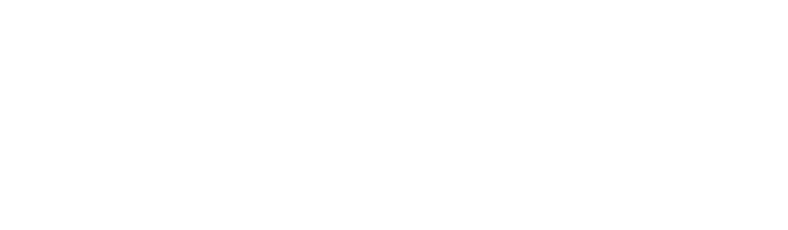bosch Logo