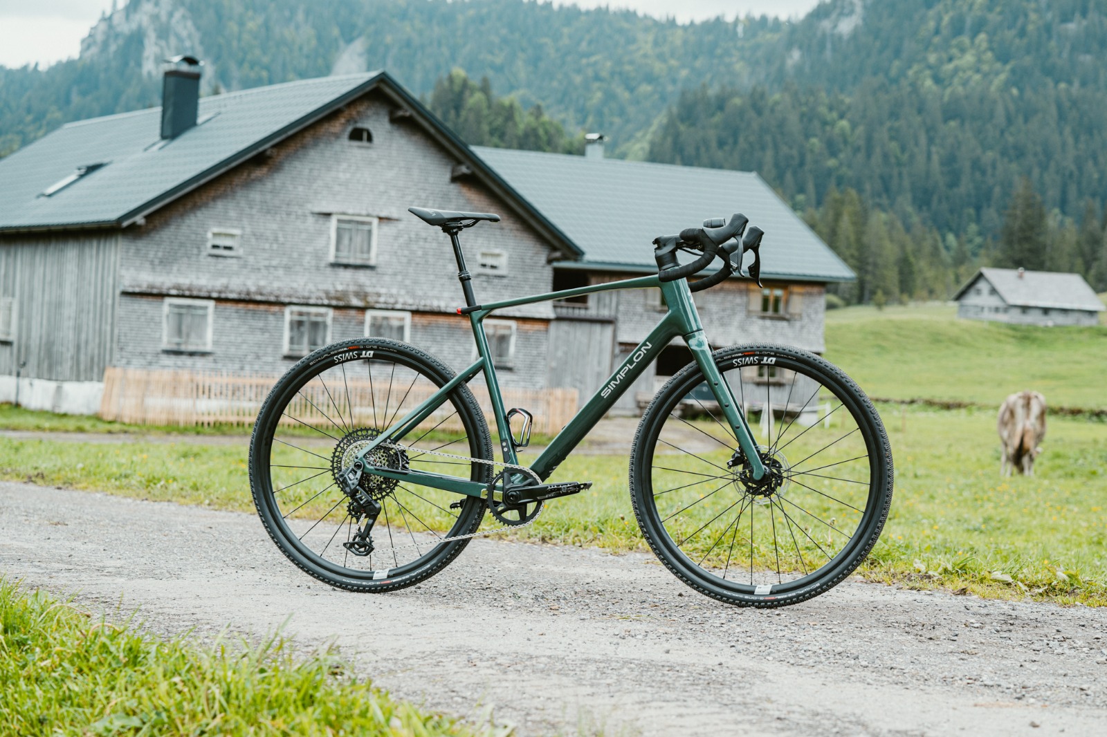 simplon fahrrad wien kaufen